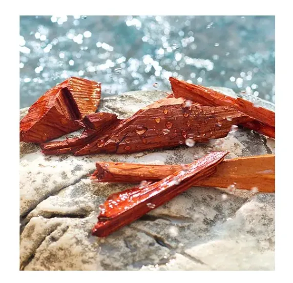 Clearance Light Blue Pour Homme Summer Vibes Perfumes