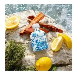 Clearance Light Blue Pour Homme Summer Vibes Perfumes