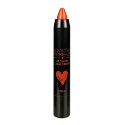 Best Lip Crayon Pintalabios