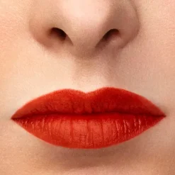 Lip Maestro*ARMANI Outlet