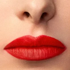 Lip Maestro*ARMANI Outlet