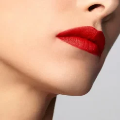 Lip Maestro*ARMANI Outlet