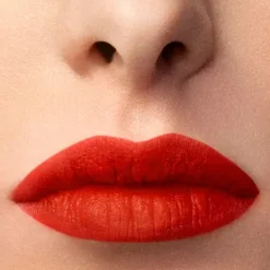 Lip Maestro Intense*ARMANI Outlet