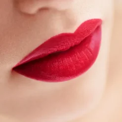 Lip Maestro Intense*ARMANI Outlet