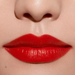Lip Power*ARMANI Hot