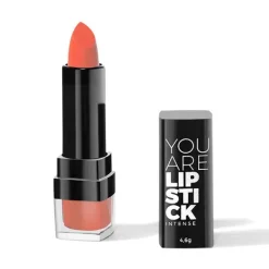Lipstick Semi-Matte*YOU ARE COSMETICS Sale