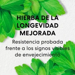 Long Life Herb Night Treatment*BAREMINERALS Hot