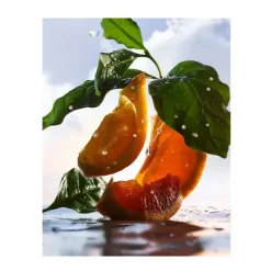 Online Man Rain Essence Perfumes