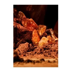 Sale Man Terrae Essence Perfumes