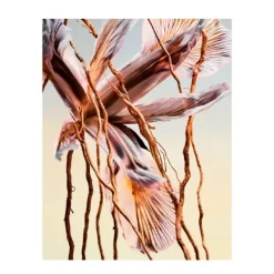 Sale Man Terrae Essence Perfumes