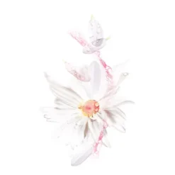 Mask Tissu Hydra Boom Calmante*GARNIER Discount