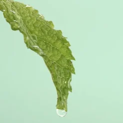 Discount AKANE Masque Cataplasme Anti-Imperfeccions