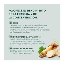 Clearance KNEIPP Memoria