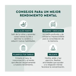 Clearance KNEIPP Memoria