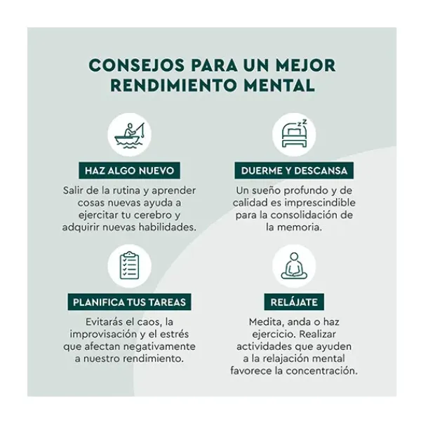 Clearance KNEIPP Memoria