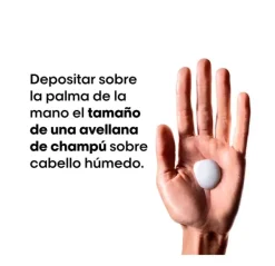 Metal Detox*L'OREAL PROFESSIONNEL Discount