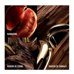 New Million Gold Perfumes