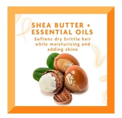 Moisturizing Curl Cream Activator*CANTU Best