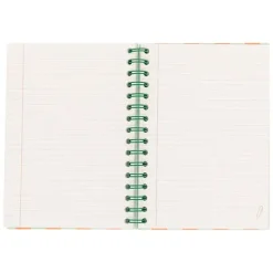 MR WONDERFUL Mucho Por Escribir