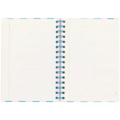 MR WONDERFUL Mucho Por Escribir