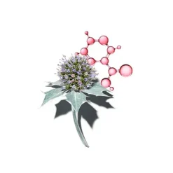 Discount Multi-Activa Jour Spf-15 Hidratación