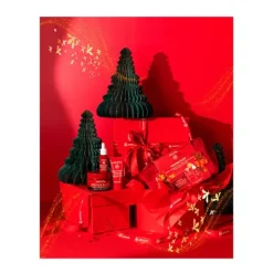 Outlet APIVITA Neceser Beevine Elixir