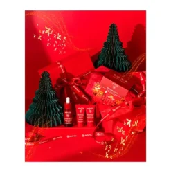 Outlet APIVITA Neceser Beevine Elixir