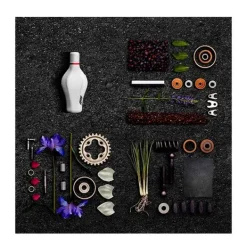 Neeeum White*F1 FRAGRANCES New