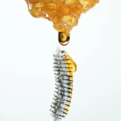 Noir G Bee Primer*GUERLAIN Hot