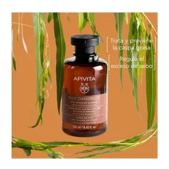 New APIVITA Oily Dandruff Champú Anticaspa Grasa