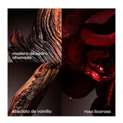 Hot One Million Elixir Perfumes