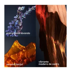 One Million Royal*RABANNE Hot