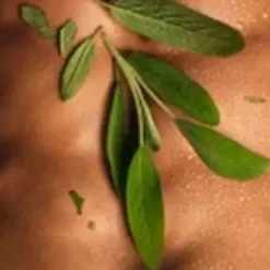 Only The Brave Perfumes