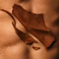 Only The Brave Perfumes