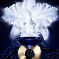 Orchidée Impériale La Crema Ligera*GUERLAIN Hot