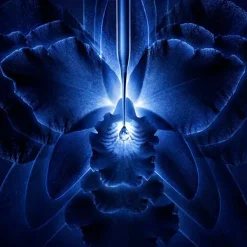 Orchidee Imperial Crema Rica*GUERLAIN Online