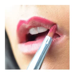 Pincel Professional Labios*BETER Discount