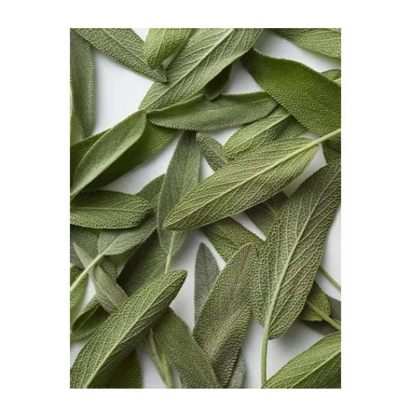 Polo Blue*RALPH LAUREN Best