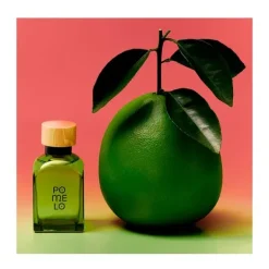 Discount ADOLFO DOMINGUEZ Pomelo Man