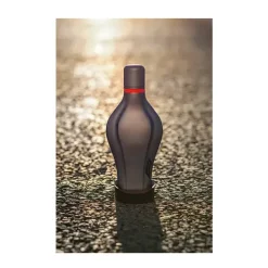 Precious Mettle*F1 FRAGRANCES Discount