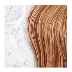 Best PHYTO Recarga Champú Suavidad