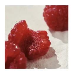 New CHLOE Recarga Signature Intense