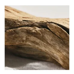 New CHLOE Recarga Signature Intense