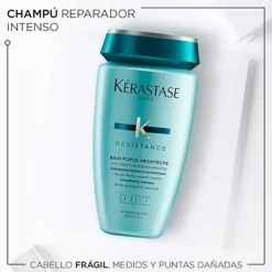 Resistance Bain Force Architecte Shampoo*KERASTASE Online