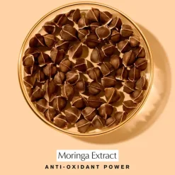 Revitalizing Supreme+ Night*ESTEE LAUDER Hot