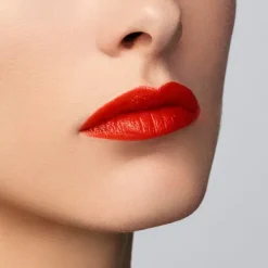 Rouge D' Matte*ARMANI Outlet