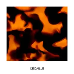 Clearance Rouge G Lips Case Pintalabios