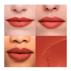 Rouge Velvet*BOURJOIS Clearance