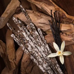 Best SAGRADA MADRE Sahumerio de Palo Santo