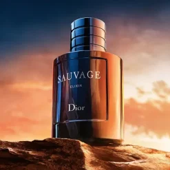 Sale Sauvage Elixir Perfumes